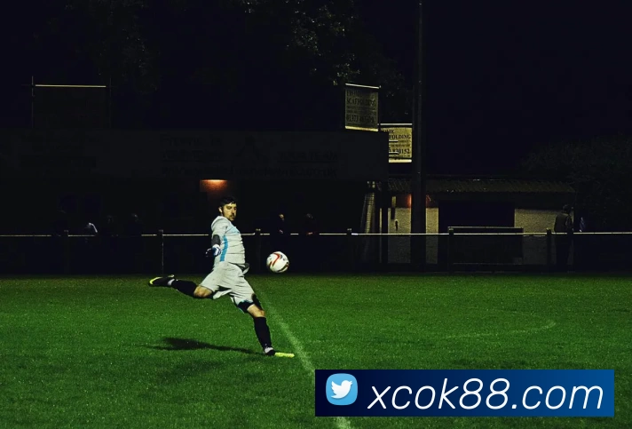 新城娱乐官网平台生态图