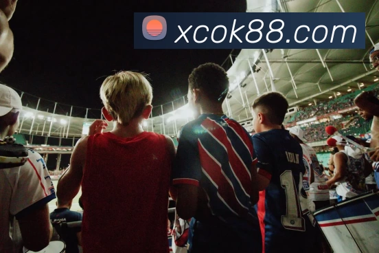 新城娱乐官网APP 封面图